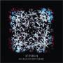 Rachel Musson / Mark Sanders / Lia - Tatterdemalion