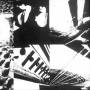 Pelt - (untitled)