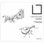 Federica Bianchi / Peppe Frana - Crisalide-Late Medieval Intabulations