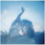 Hibou - Something Familiar