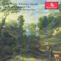 Boston Museum Trio - Quadri