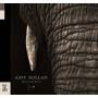 Amy Millan - Masters Of The Burial