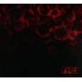 Osi - Blood (Re-Issue+Bonus)