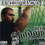 Mr. Shadow - A Medio Camino