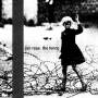 Jon Rose - Fence