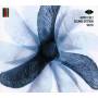 Afro Celt Sound System - Seed