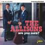 Allisons - Are You Sure