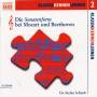 Stefan Schaub - Die Sonatenform