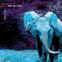 Puglia Jazz Factory - African Way