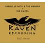 Gabrielle Roth & Mirrors / Sub Swara - Raven - Rmx