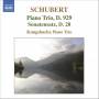 Kungsbacka Piano Trio - Klaviertrio 2 D 929/Sonatens