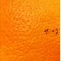 Ojas - Naranja