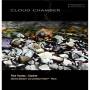 Paul Vowles - Cloud Chamber