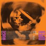 Brian Auger & The Trinity / Julie Driscoll - Open (Remastered)