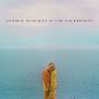 Andrew Mcmahon - In The Wilderness