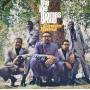 The Joe Thomas Group - Comin Home