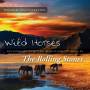 Judson Mancebo - The Personal Spa Collection: The Rolling Stones