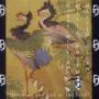 Daevid Allen - STROKING THE TAIL OF THE BIRD