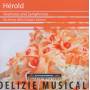 Wolf / Dieter Hauschild / Orchestra D - Overtures and Symhonies
