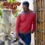 Everette Harp - In The Moment