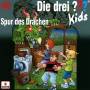 Die Drei ??? Kids - 058/Spur des Drachen