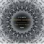 Bolette Roed / Peter Navarro-Alonso / D. Hildebrandt - Goldberg Variations