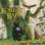 Dean Evenson - Forest Rain
