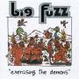 Big Fuzz - Exercising The Demons