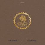 Mary Lattimore - Collected Pieces: 2015-2020 -LTD Gold Ripple Vinyl