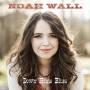 Noah Wall - Down Home Blues
