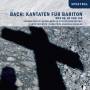 Berau / Schfer / L'Arpa Festante / Heidelberg - Kantaten Fr Bariton BWV 56/158