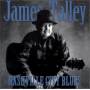 James Talley - Nashville City Blues