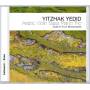 Yitzhak Yedid - Arabic Violin Bass Piano Trio