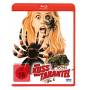 Der Kuss Der Tarantel - Der Kuss der Tarantel (uncut) (Blu-ray) [DE-Version, Regio 2/B]