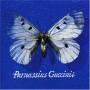 Guccini Francesco - Parnassius Guccinii