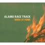 Alamo Race Track - Birds At Home