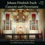 Laura Cerutti - Fasch Concerti Und Ouverturen