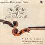 Rognoni / Marcocchi - Sechs konzertante Duette fr Violine & Viola