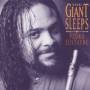 Pedro Eustache - Giant Sleeps