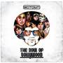 Botown - Soul Of Bollywood