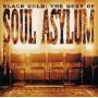 Soul Asylum - Black Gold: Best Of