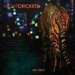 Night Crickets Feat. D.J. & V.DeLorenzo & D.Meiners - How It Ends (?)