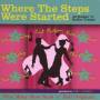 V / A - Where The Steps Were Started