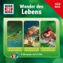 Was Ist Was - Was Ist Was 3-CD Hrspielbox Vol.10 - Leben