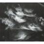 Archangel - The Bedroom Slant Lp