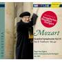 Roger Norrington / SWR SO - Sinfonien 8+40/Posthorn