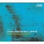 Plamena Nikitassova / Peter Waldner - Sonaten