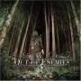 Out Of Enemies - Into The Darkness