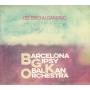 Barcelona Gipsy Balkan Orchestra - Del Ebro al Danubio