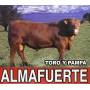 Almafuerte - Toro Y Pampa